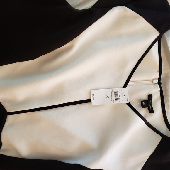 Black and white Ann Taylor Dress - Picture 3 of 5